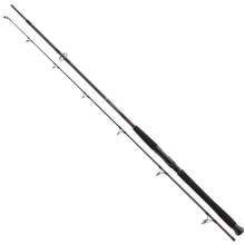 DAIWA - Prút Exceler CF Spin 2,4 m 135 g