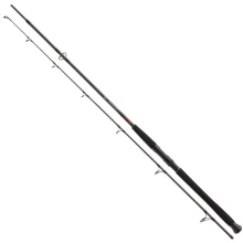 DAIWA - Prút Exceler CF Spin 2,7 m 135 g