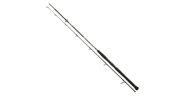 DAIWA - Prút Powermesh Catfish Spin 2,7 m 135 g