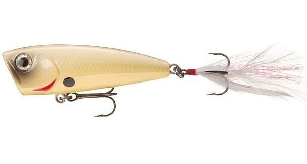DAIWA - Wobler Steez Popper 60F Bone 6 cm 7,6 g