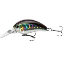 DAIWA - Wobler Tournament Spike Baby Crank Chart 3,5 cm 3,5 g Kibinago