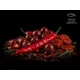 DELPHIN - Boilies v dipe BreaX HotHELL Robin red-Chilli Fr.Klobása 24 mm 200 ml