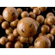 DELPHIN - Boilies v dipe BreaX NutCAKE tigrí orech Scopex Sladká kukurica 16 mm 200 ml