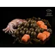 DELPHIN - Boilies v dipe BreaX SeaKER Liehovar Losos 16 mm 200 ml