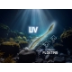 DELPHIN - Gumová nástraha TOXIN UVs 8 cm 2 g 8 ks Reactor