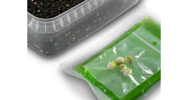 DELPHIN - Pelety Pellet box Reaxe Ready&Go 400 g Cesnak-Butyric
