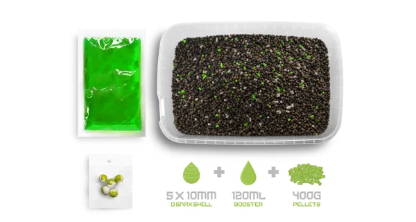 DELPHIN - Pelety Pellet box Reaxe Ready&Go 400 g Cesnak-Butyric