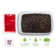 DELPHIN - Pelety Reaxe Ready&Go Pellet Box 400 g + Booster a wafters Slivka Moruše