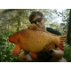 DELPHIN - Plyšový kapor Carpy 60 cm