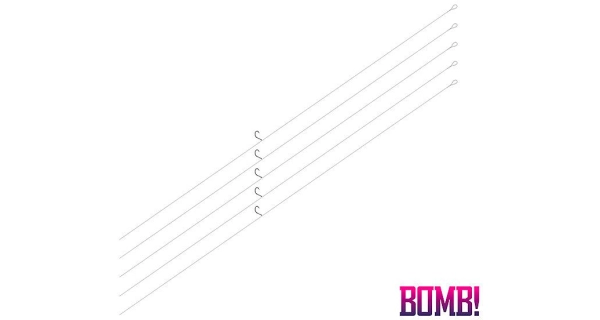 DELPHIN - Prívlačový náväzec Bomb! D-Shot 5 ks 1 m 0,20 mm veľ. 2