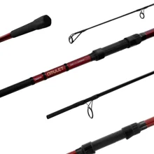 DELPHIN - Prút Amulet Carp 3 m 2,5 lb 2 diely