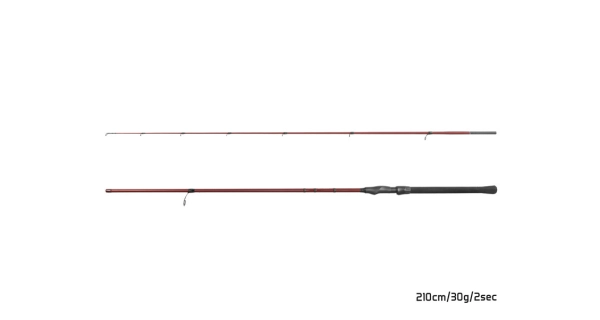 DELPHIN - Prút Amulet Spin 210 cm 30 g