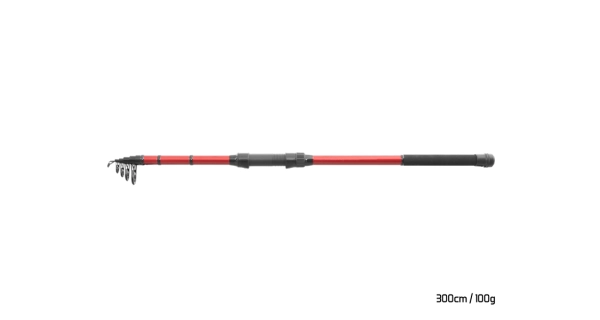 DELPHIN - Prút Amulet Tele 3 m 2 lb