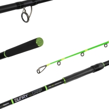 DELPHIN - Prút Dunay Carp 2,4 m 200 g 2 diely
