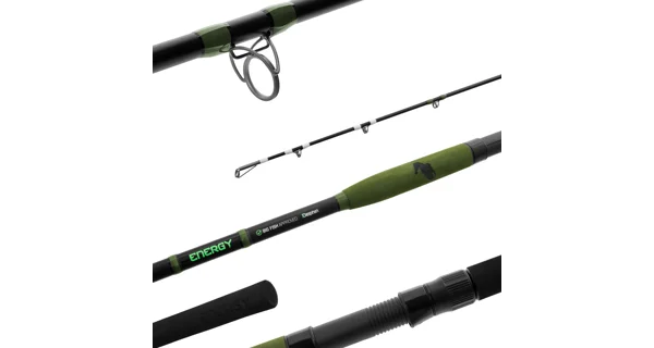 DELPHIN - Prút Energy Catfish 2,8 m 250-500 g 2 diely