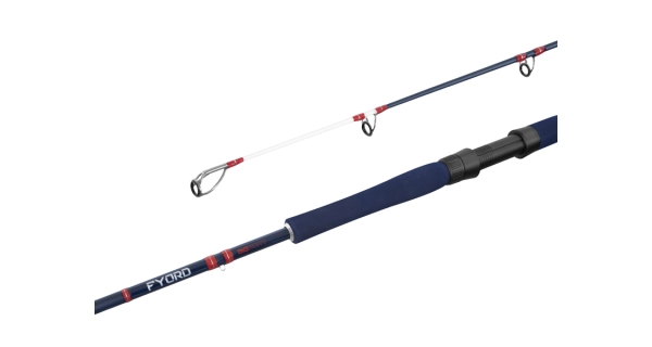 DELPHIN - Prút Fyord Big Boat 2,2 m 300-400 g