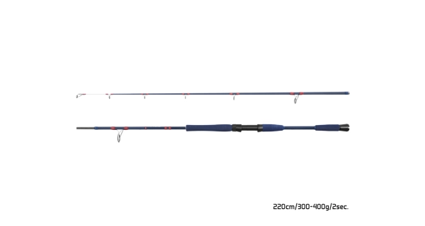 DELPHIN - Prút Fyord Big Boat 2,2 m 300-400 g