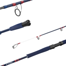 DELPHIN - Prút Fyord Big Boat 2,2 m 300-400 g