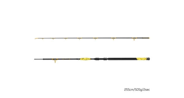 DELPHIN - Prút Hazard BxG 255 cm 505 g