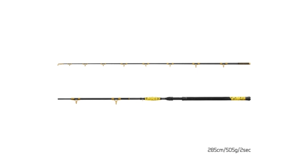 DELPHIN - Prút Hazard BxG 285 cm 505 g