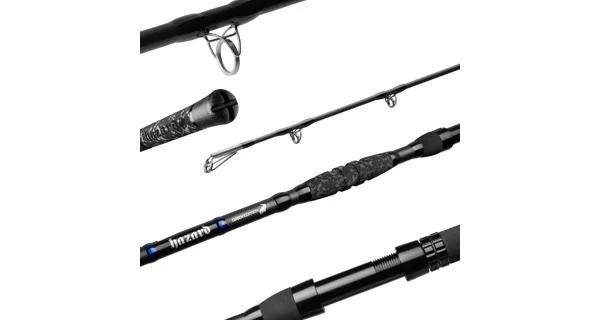 DELPHIN - Prút Hazard Darx 3,1 m 500 g 2 diely