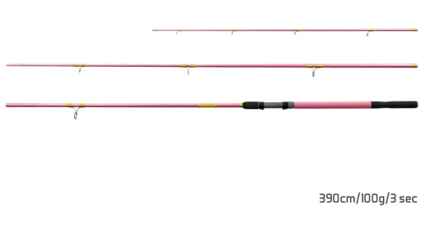 DELPHIN - Prút Queen Feeder 3,3 m 100 g + 3 špičky