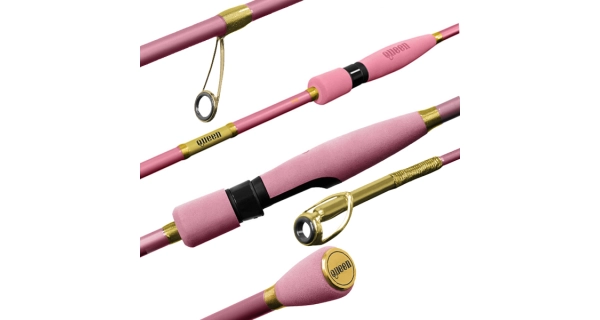 DELPHIN - Prút Queen Spin 10-30 g 2,4 m