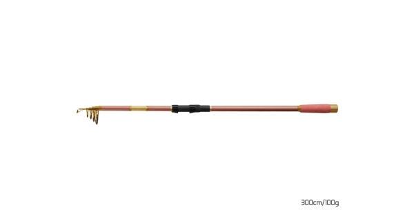 DELPHIN - Prút Queen Tele 300 cm 100 g