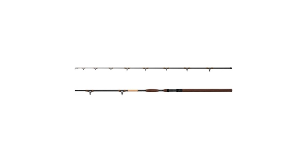 DELPHIN - Prút SymbolCat Bronze 3,1 m 500 g 2 diely