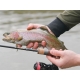 DELPHIN - Prút Troutera HardLure 1,8 m 1-5 g 2 diely