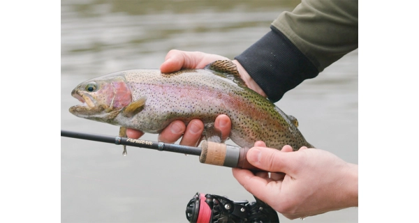DELPHIN - Prút Troutera HardLure 1,8 m 1-5 g 2 diely