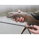 DELPHIN - Prút Troutera SoftLure 1,8 m 0,5-6 g