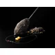 DELPHIN - Pružinové krmítko WireX L 10 g