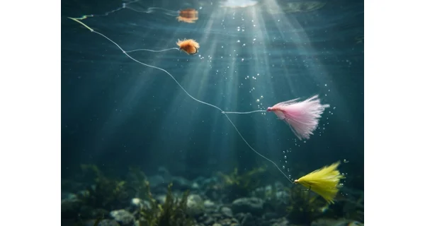 DELPHIN - Sada umelých mušiek FLY Pond Trout 10 ks