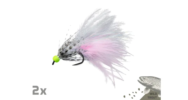 DELPHIN - Sada umelých mušiek FLY Wild Trout 10 ks