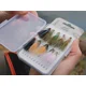 DELPHIN - Sada umelých mušiek FLY Wild Trout 10 ks