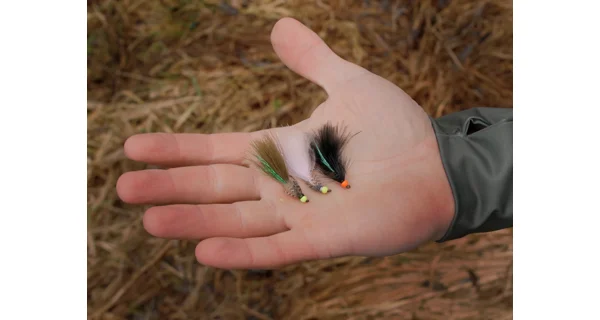 DELPHIN - Sada umelých mušiek FLY Wild Trout 10 ks