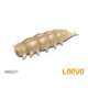 DELPHIN - Umelá nástraha LARVO Cheese 3 cm 15 ks Maggot