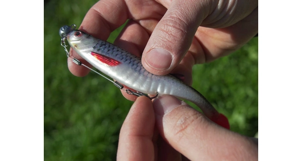 DELPHIN - Umelá nástraha Realix 3D 13 cm 2 ks Minnow