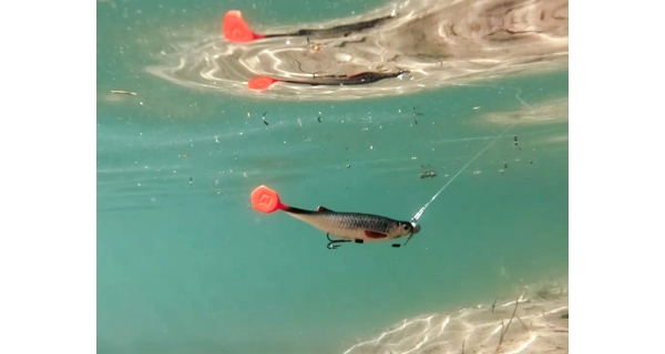 DELPHIN - Umelá nástraha Realix 3D 13 cm 2 ks Roach