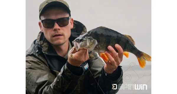 DELPHIN - Vibračná nástraha SpinWIN 12 g Forester