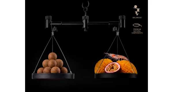 DELPHIN - Vyvážené boilies BreaX PassionKRILL Krill Mango 20 mm 100 g