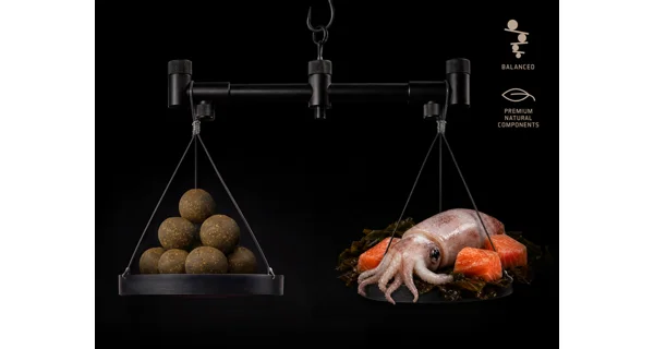 DELPHIN - Vyvážené boilies BreaX SeaKER Kalimarón Losos 20 mm 100 g