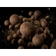 DELPHIN - Vyvážené boilies BreaX SeaKER Kalimarón Losos 24 mm 100 g