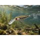 DELPHIN - Wobler WOBBY CRANK-DP Floating 7 cm 12 g Phantom