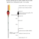 EXPERT PLAVÁKY - Rybársky balzový plavák (pevný) expert 3,0 g / 20 cm