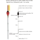 EXPERT PLAVÁKY - Rybársky balzový plavák (pevný) expert 4,0 g / 22 cm