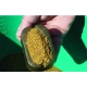 EXTRA CARP - Kŕmidlo Method Feeder 40 g