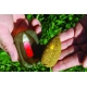 EXTRA CARP - Kŕmidlo Method Feeder 60 g