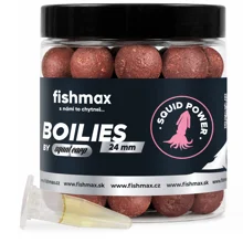 FISHMAX - Boilie s esenciou By Squat Carp Squid Power 24 mm